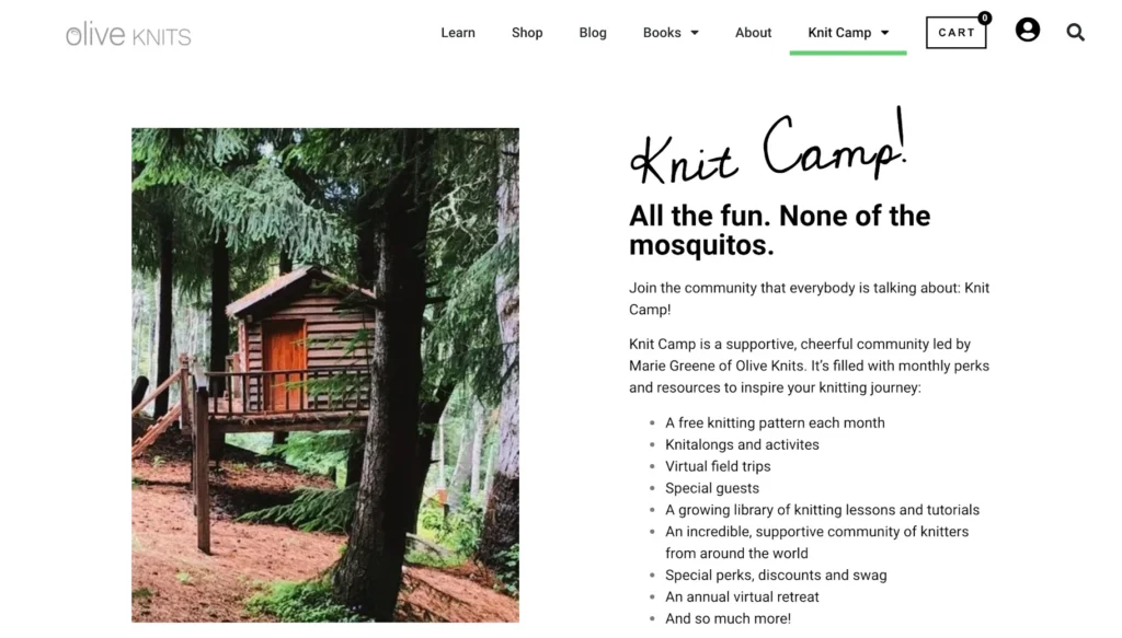 كيفية كسب المال من التدوين (10 طرق لكسب المال من التدوين) 11 محتوى العضوية