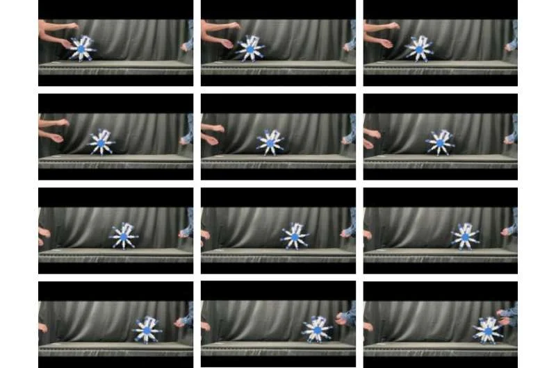 روبوت ذو عجلات بدون إطار يمكنه التغلب على الخطوات بشكل موثوق 2 صور متتابعة للمشي على أرض مستوية. ائتمان: الحياة الاصطناعية