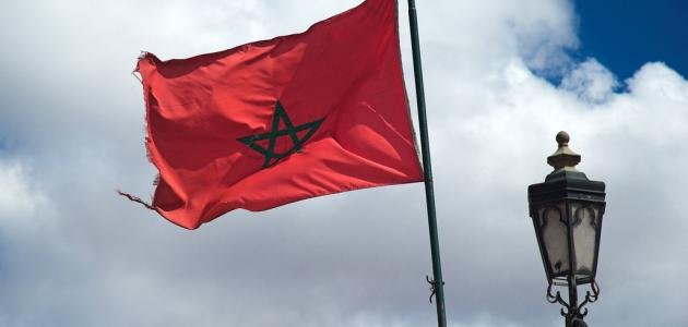 تعريف نظام الحماية 1 تعريف نظام الحماية