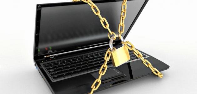 حماية البيانات