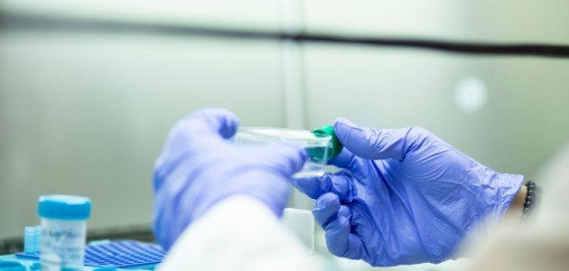 طرق زراعة الأنسجة الحيوانية 1 طرق زراعة الأنسجة الحيوانية