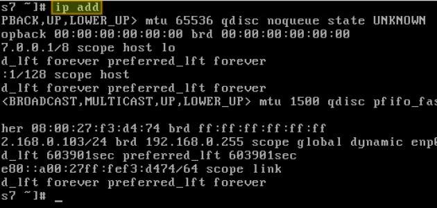 ماذا تعني IP