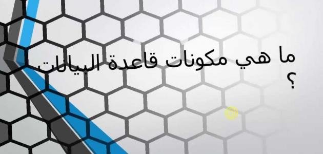 مكونات قواعد البيانات