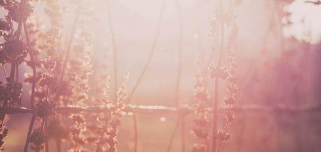 حديث يبين اهمية الامن والرزق في حياة الانسان